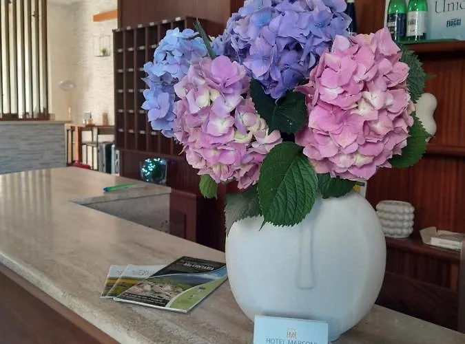 Hotel Marconi Fiuggi